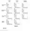Fig. 08 - Antibody constructs for DLL3 and CD3