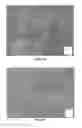 Fig. 04 - Methods of treating hemophagocytic lymphohistiocytosis with an IL-33 receptor antibody