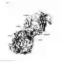 Fig. 05 - Anti-CD154 antibodies and methods of using them