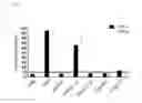 Fig. 09 - Anti-CD154 antibodies and methods of using them