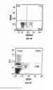 Fig. 03 - Anti-MCAM antibodies and associated methods of use