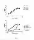 Fig. 02 - Antibody that binds ErbB-2 and ErbB-3