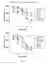 Fig. 04 - Antibody that binds ErbB-2 and ErbB-3