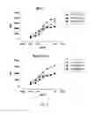 Fig. 06 - Antibody that binds ErbB-2 and ErbB-3