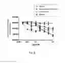 Fig. 13 - Antibody that binds ErbB-2 and ErbB-3