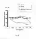 Fig. 14 - Antibody that binds ErbB-2 and ErbB-3