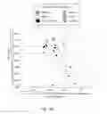 Fig. 18 - Antibody that binds ErbB-2 and ErbB-3