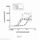 Fig. 24 - Antibody that binds ErbB-2 and ErbB-3