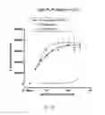 Fig. 26 - Antibody that binds ErbB-2 and ErbB-3