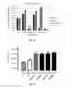 Fig. 67 - Antibody that binds ErbB-2 and ErbB-3