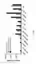 Fig. 68 - Antibody that binds ErbB-2 and ErbB-3