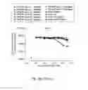 Fig. 71 - Antibody that binds ErbB-2 and ErbB-3