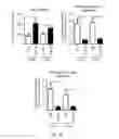 Fig. 80 - Antibody that binds ErbB-2 and ErbB-3