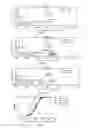 Fig. 04 - Mutated antibody of fully humanized HER2 antibody, and encoding gene and use thereof