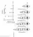 Fig. 04 - Antibody constructs for FLT3 and CD3