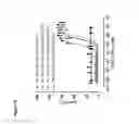 Fig. 13 - Antibody constructs for FLT3 and CD3