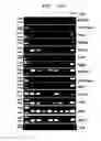 Fig. 03 - Composition comprising branched multipeptide vaccine and vaccine comprising the same