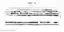 Fig. 04 - Composition comprising branched multipeptide vaccine and vaccine comprising the same