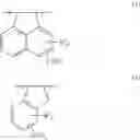Fig. 28 - Polymer compound, positive resist composition, laminate, and resist patterning process