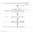 Fig. 01 - Manufacturing method of polymer