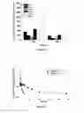 Fig. 06 - Cationic polyphosphazene compound, polyphosphazenes-drug conjugate compound and method for preparing same