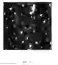 Fig. 04 - ELECTRICALLY CONDUCTING PEDOT SOL-GEL DERIVED COATING