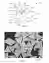 Fig. 04 - Abrasive particles and abrasive articles including the same