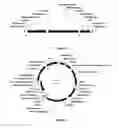 Fig. 17 - Processes for producing hydrocarbon products