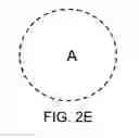Fig. 05 - BIOLOGICALLY-RELEVANT SELECTIVE ENCLOSURES FOR PROMOTING GROWTH AND VASCULARIZATION
