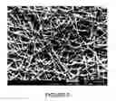 Fig. 09 - BIOLOGICALLY-RELEVANT SELECTIVE ENCLOSURES FOR PROMOTING GROWTH AND VASCULARIZATION
