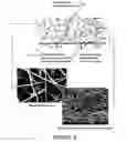 Fig. 10 - BIOLOGICALLY-RELEVANT SELECTIVE ENCLOSURES FOR PROMOTING GROWTH AND VASCULARIZATION
