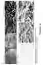Fig. 16 - BIOLOGICALLY-RELEVANT SELECTIVE ENCLOSURES FOR PROMOTING GROWTH AND VASCULARIZATION