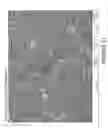 Fig. 26 - BIOLOGICALLY-RELEVANT SELECTIVE ENCLOSURES FOR PROMOTING GROWTH AND VASCULARIZATION