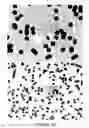 Fig. 27 - BIOLOGICALLY-RELEVANT SELECTIVE ENCLOSURES FOR PROMOTING GROWTH AND VASCULARIZATION