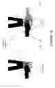 Fig. 33 - BIOLOGICALLY-RELEVANT SELECTIVE ENCLOSURES FOR PROMOTING GROWTH AND VASCULARIZATION