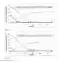 Fig. 07 - strains