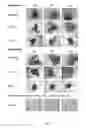 Fig. 02 - METHOD OF PREPARING CELLS FOR 3D TISSUE CULTURE