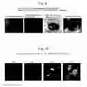Fig. 09 - CELL CULTURING METHOD, CELL CULTURING APPARATUS AND KIT