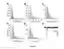 Fig. 18 - Mammalian neural plate border stem cells capable of forming neural tube and neural crest cell lineages including central and peripheral neurons