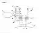 Fig. 08 - Methods, kits and apparatus for expanding a population of cells