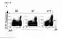 Fig. 32 - Methods, kits and apparatus for expanding a population of cells