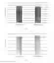 Fig. 02 - Method for preparing and using cell ghost with active factors as synergist of lymphocyte in vitro culture