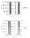 Fig. 08 - Method for preparing and using cell ghost with active factors as synergist of lymphocyte in vitro culture