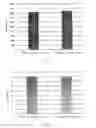 Fig. 09 - Method for preparing and using cell ghost with active factors as synergist of lymphocyte in vitro culture