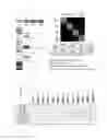 Fig. 06 - Method for preparing osteoblasts and osteoblast inducer