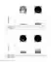 Fig. 07 - Method for preparing osteoblasts and osteoblast inducer