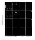 Fig. 03 - Methods for epicardial differentiation of human pluripotent stem cells