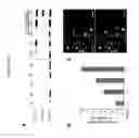 Fig. 21 - Methods for epicardial differentiation of human pluripotent stem cells