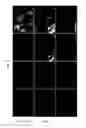 Fig. 23 - Methods for epicardial differentiation of human pluripotent stem cells
