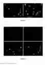 Fig. 35 - Host cell modification with artificial endosymbionts